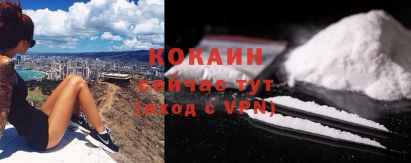 молекула духа Вязьма