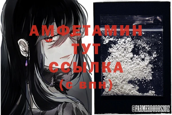 молекула духа Вязьма
