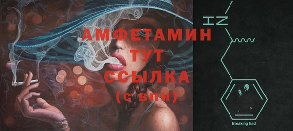 молекула духа Вязьма