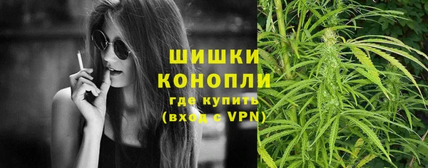 молекула духа Вязьма